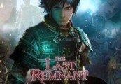 The Last Remnant PC Steam Gift