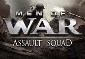 Men of War: Assault Squad PC Steam CD Key