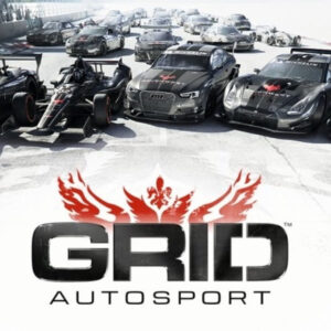 GRID Autosport EU PC Steam CD Key