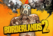 Borderlands 2 RU VPN Required PC Steam CD Key