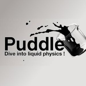 Puddle Steam CD Key