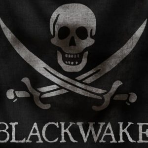 Blackwake EU Steam CD Key
