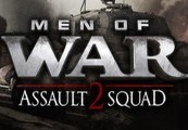 Men of War: Assault Squad 2 EU PC Steam CD Key