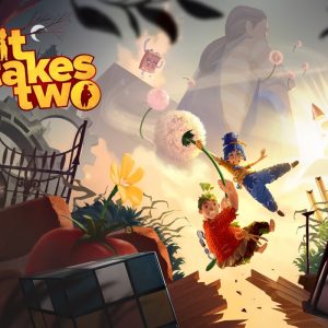 It Takes Two EU Steam Altergift