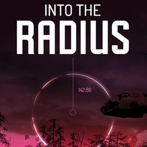 Into the Radius VR EU Steam CD Key