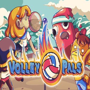 Volley Pals EU Nintendo Switch CD Key
