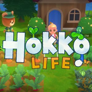 Hokko Life EU Steam CD Key