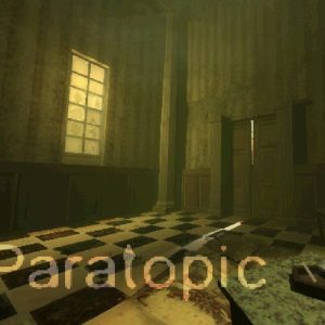 Paratopic EU Steam CD Key