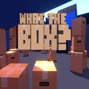 What The Box? EU Steam CD Key