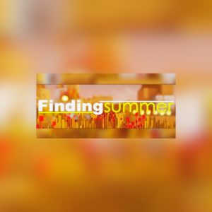 Finding summer EU PC Steam CD Key