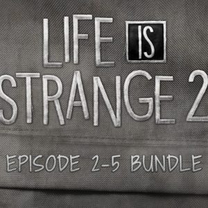 Life is Strange 2 - Episodes 2-5 bundle DLC EU Steam CD Key