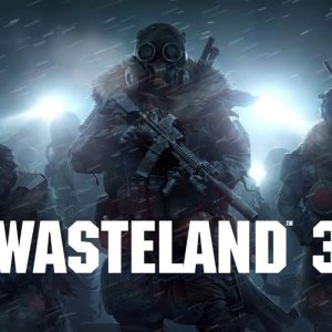 Wasteland 3 EU Steam CD Key