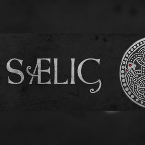 SAELIG EU Steam Altergift