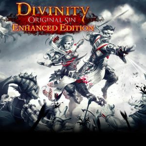 Divinity: Original Sin Enhanced Edition EU Steam Altergift