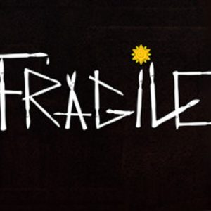 Fragile EU Steam Altergift