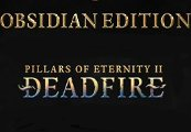 Pillars of Eternity II: Deadfire Obsidian Edition EU PC Steam Altergift