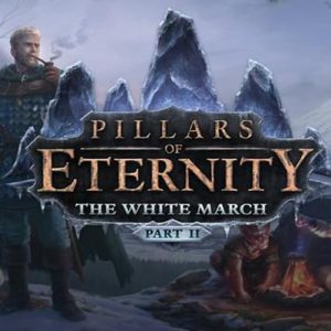 Pillars of Eternity - The White March Part II DLC EU Steam CD Key